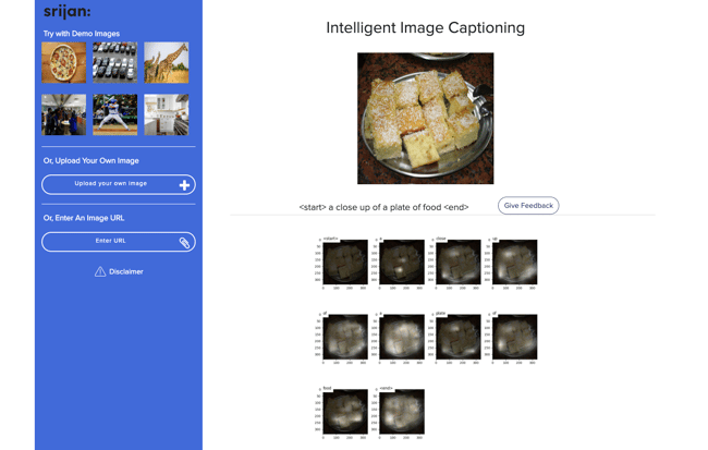 various part of image (food) shown for automatic caption generation