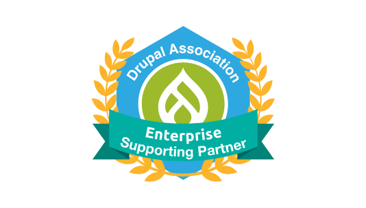 Enterprise Supporting Partner