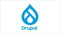 Drupal Migration Service