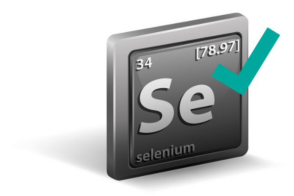An Introduction to Selenium