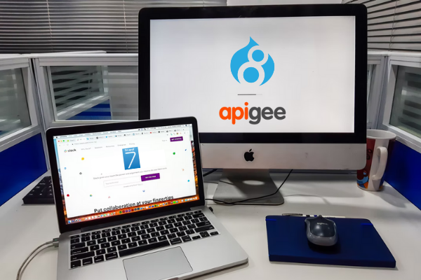 Prepping Up For Apigee Developer Portal Migration To Drupal 8